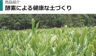商品紹介/酵素による健康な土づくり