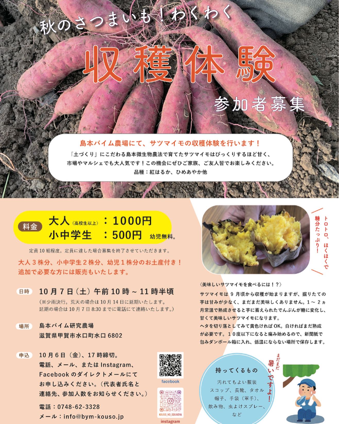 サツマイモ わくわく収穫体験』のご案内｜島本微生物工業株式会社
