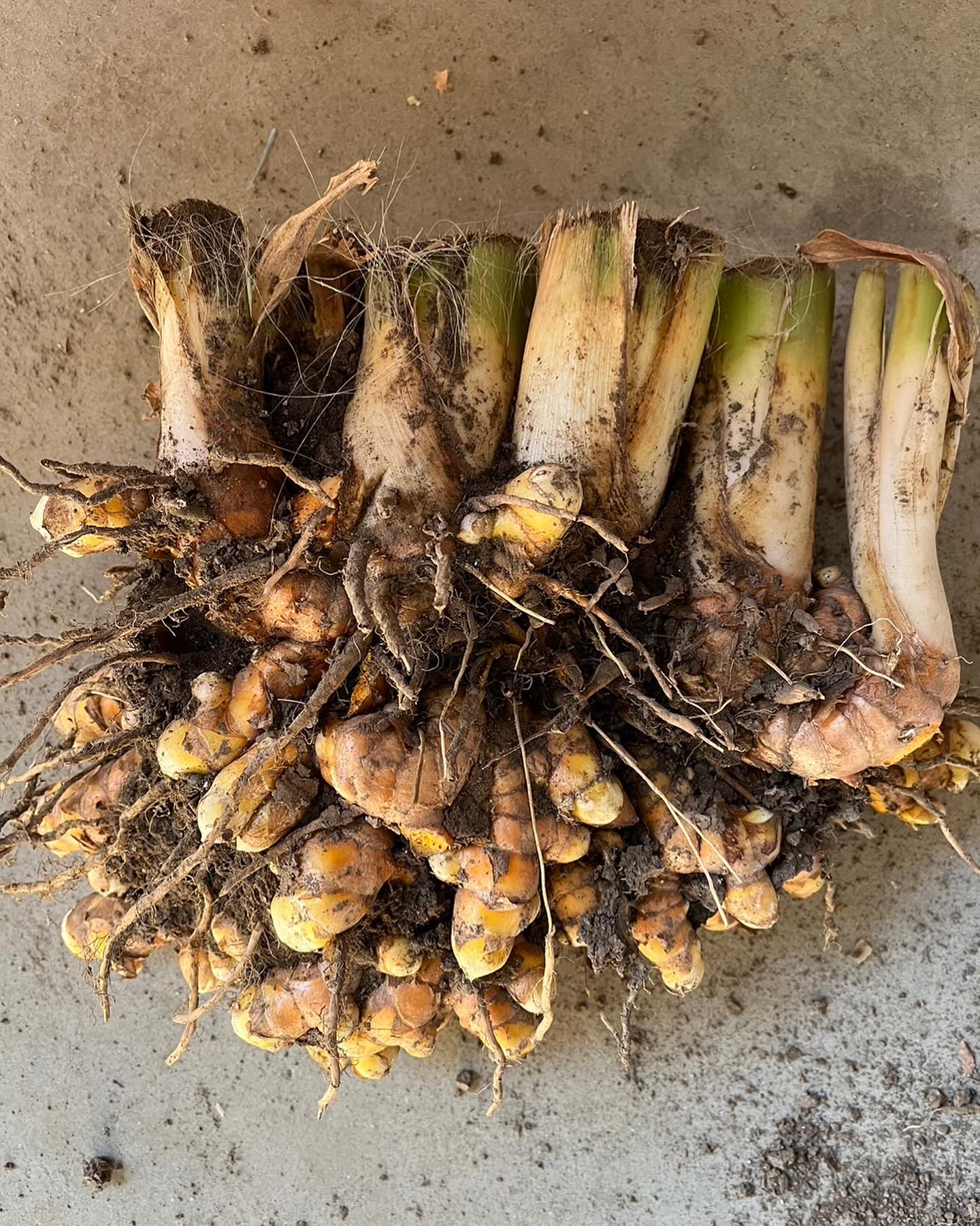 409482384_18107801701359140_64